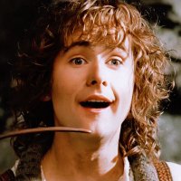 Pippin Took (@pipfoolofatook) 's Twitter Profile Photo Pippin Took (@pipfoolofatook) 's Twitter Profile Photo