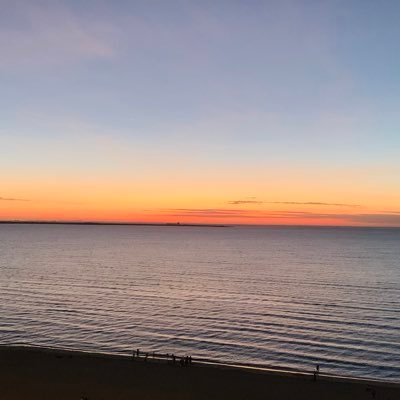 frankdamii's profile picture. 