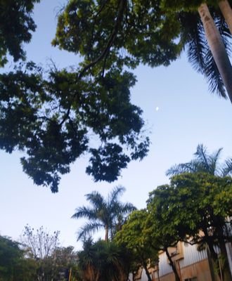 HuKs_Jean's profile picture. ª