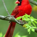 Katherine Harter - @KatherineHarter - Twitter