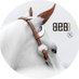 8Eฬณฬฟ8 (@8e8__) Twitter profile photo 8Eฬณฬฟ8 (@8e8__) Twitter profile photo