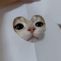 한비 ˚⊹ ¨̮ (@hanbl_e) 's Twitter Profile Photo