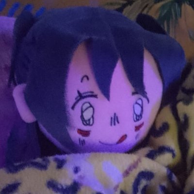 ˚₊‧꒰ა 𝑺𝒚𝑙𝑙𝑖 ໒꒱ ‧₊˚ Profile