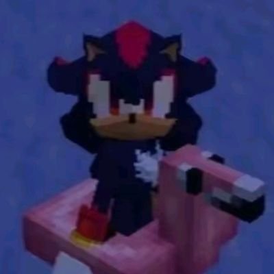 I like hedgehogs
call me shadow or kris ok? ok