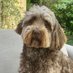 Graham Ramshead (@claretincwine) Twitter profile photo Graham Ramshead (@claretincwine) Twitter profile photo