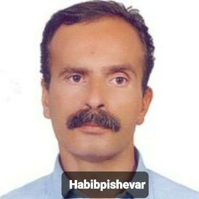 wr_hbyb's profile picture. معلول ویلچری