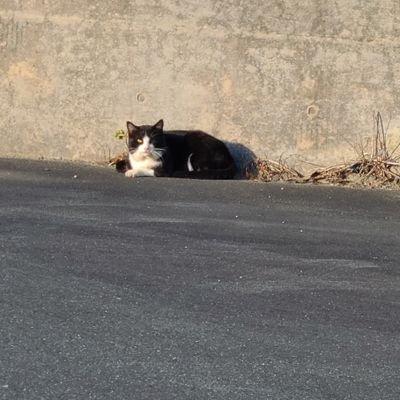 Eren0000619's profile picture. 