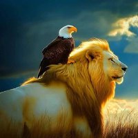 ابوباسم (@basmljry138) 's Twitter Profile