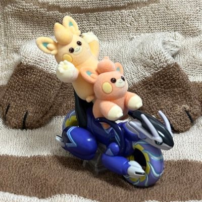 きびさんのプロフィール画像