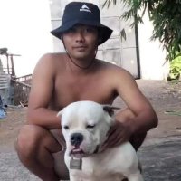 Chandoe Sapi (@chandoe98061) 's Twitter Profile