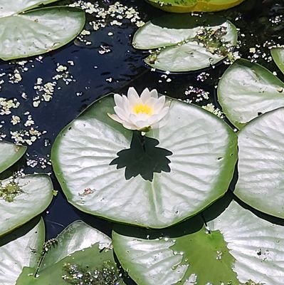 cooking37424's profile picture. Remember. Love. ❤️