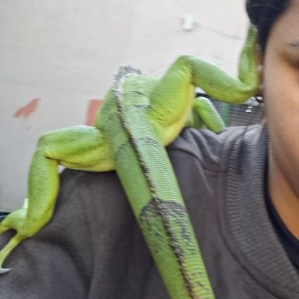 Mandown_______'s profile picture. 🐝🪼🦕🐧