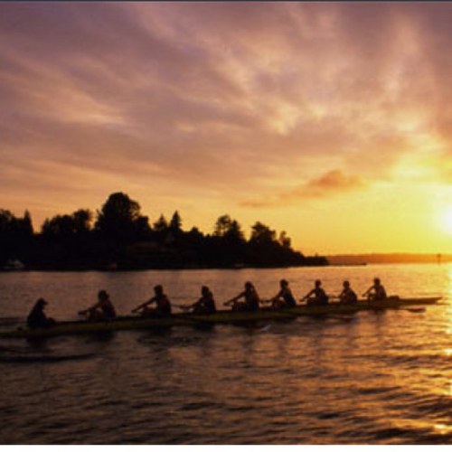 crewgirlprobs's profile picture. 