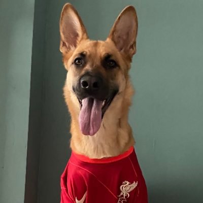 Liverpool FC #jft97-. The reds are taking over!!! whenever your at your lowest just remember Pickford could be our keeper.