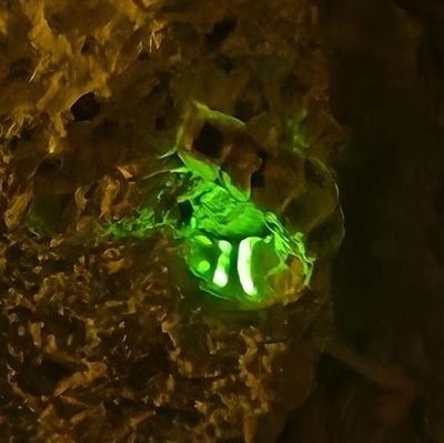 ahmetcrc85's profile picture. 