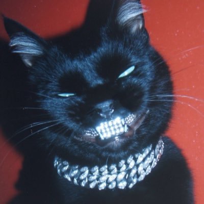 mittonya_'s profile picture. 