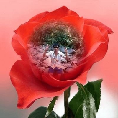 Aun19T's profile picture. 