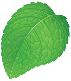 MintCondCreativ's profile picture. Mint Condition Creative Solutions is an environmentally conscious graphic services firm serving small to med size businesses in Chicago and the world