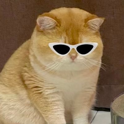 팬팬さんのプロフィール画像