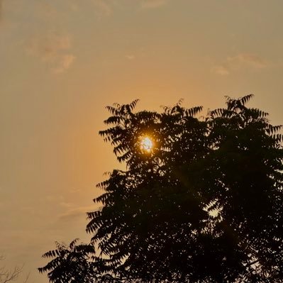 iamcham_1's profile picture. it’s what it is 🛸🦎