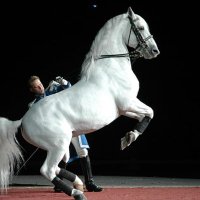 The Truth (@marylipizzan) 's Twitter Profile