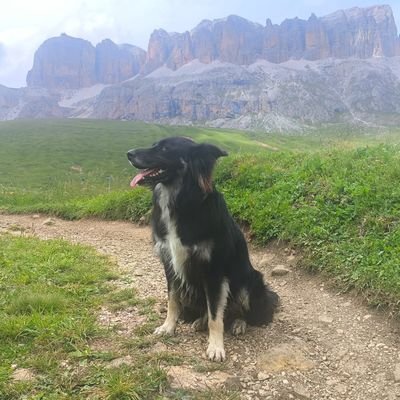 emugarza002's profile picture. Aberriaren mugak, euskararenak, gure baitan daude gehienak