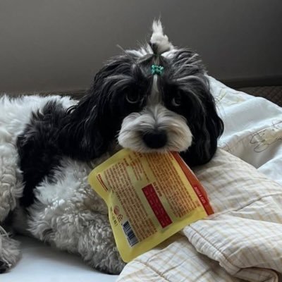 xueiei's profile picture. ni ai wo wo ai ni mi xue bing cheng tian mi mi