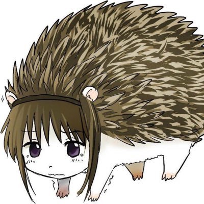 falserealitxy's profile picture. 19 | xy is a curse | MDNI