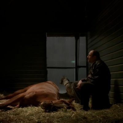 gonedolphini's profile picture. صرفا جهت اتلاف وقت :
 https://t.co/ifRhPXDdBL