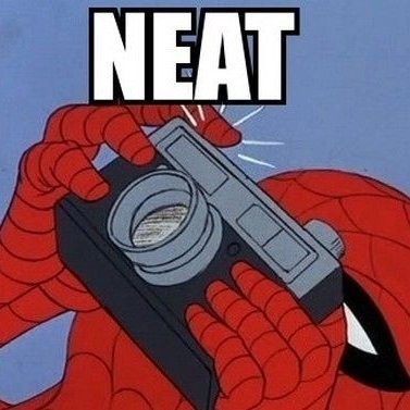 verin50556's profile picture. 