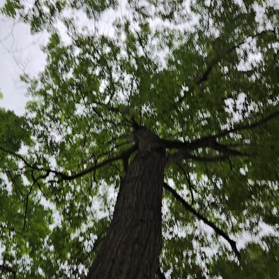 CLawson89613's profile picture. 