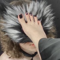 Chiro, a Raposa Doméstica 🦊🧹 (@vulpesfamiliar) 's Twitter Profile