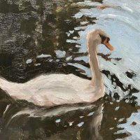 B🦢 (@swaninthevalley) 's Twitter Profile Photo