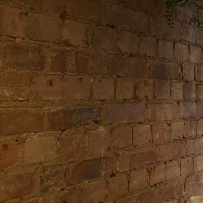 livtalx's profile picture. 