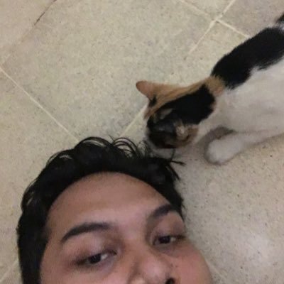 Ducksathe1st's profile picture. just a dream seeker