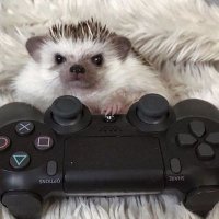 𝐀𝐇𝐌𝐀𝐃 (@shade_soul1024) Twitter profile photo