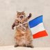 CHATON CITOYEN Parfait 😺🇲🇫 (@chatonparfait47) Twitter profile photo CHATON CITOYEN Parfait 😺🇲🇫 (@chatonparfait47) Twitter profile photo