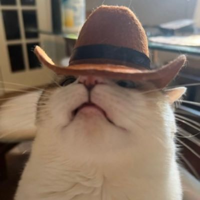 Cole09Max's profile picture. If you want to be success, you need to stop loving sympathy