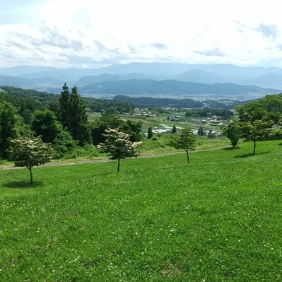 たろちん たろちん (@tarochinko) / X