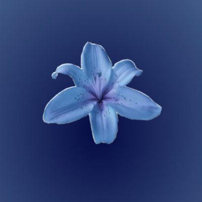 axtrr0_'s profile picture. #NURS225 at @IAU_KSA | member in @nursingClub_IAU 🌸