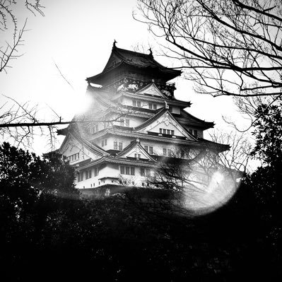 世界に誇る歴史を有する日本を再び素晴らしい国にしたいと思ってます。80年代〜90年代の洋楽と映画やお酒も大好きです。宜しくお願いします