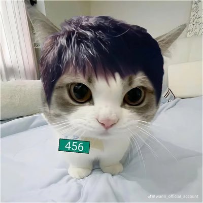 Angela__222888's profile picture. INHUN FOREVER/ 🇲🇽