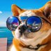 𝐃𝐨𝐠𝐞𝐖𝐚𝐠 🐾 (@dogewahgmi) Twitter profile photo 𝐃𝐨𝐠𝐞𝐖𝐚𝐠 🐾 (@dogewahgmi) Twitter profile photo