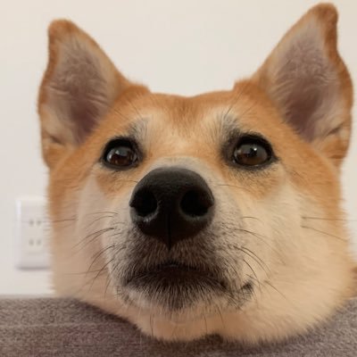 tsB1vgw1Ene71R8's profile picture. 3人子育て中　TQQQのみで資産形成中です。よかったら仲良くして下さい☺️お金・筋肉・美味い飯大好きです😘