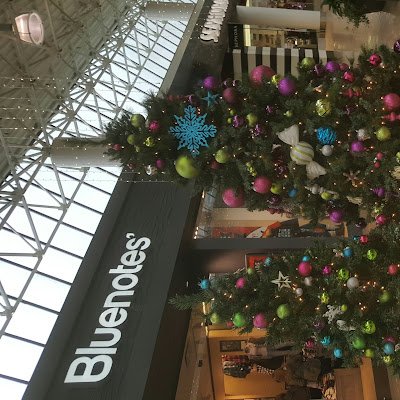 judy_ca19's profile picture. 