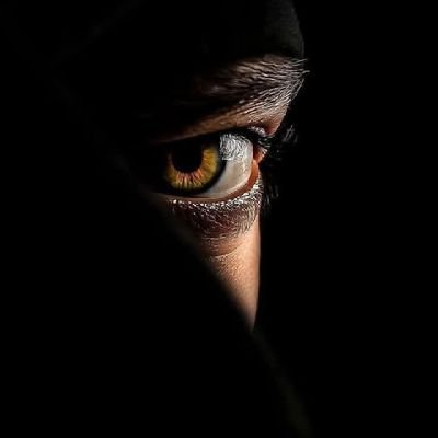 NomanUl95518115's profile picture. 