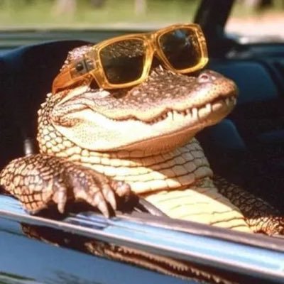 ust2096474's profile picture. 