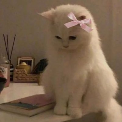 mitskiluv3r1's profile picture. 