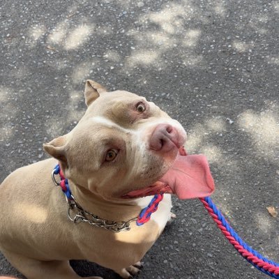 DamienS1990's profile picture. 🇮🇪🇮🇪🇮🇪🇮🇪🇮🇪🇮🇪🇮🇪