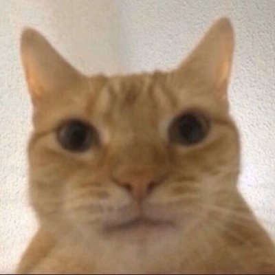 Ezzneider01's profile picture. Dev, o algo así.